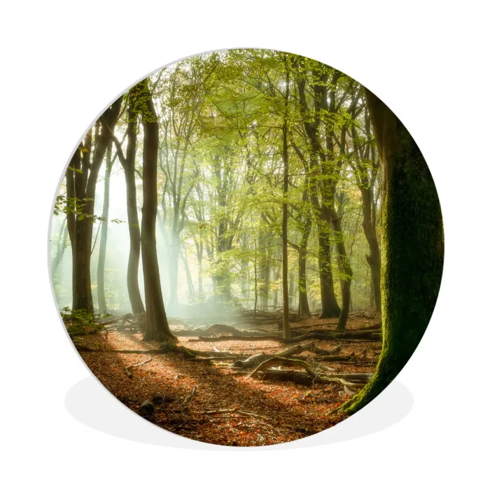 Bos - Zon - Seizoenen - Landschap Wandcirkel kunststof plaat 5mm dik klein -3d