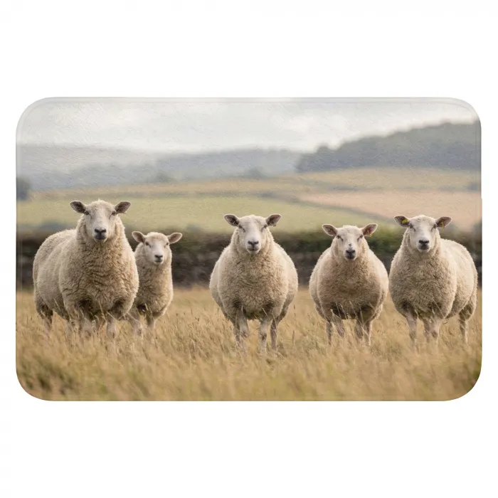 Schapen - Weidenlandschap - Heuvels WCmat klein -3d