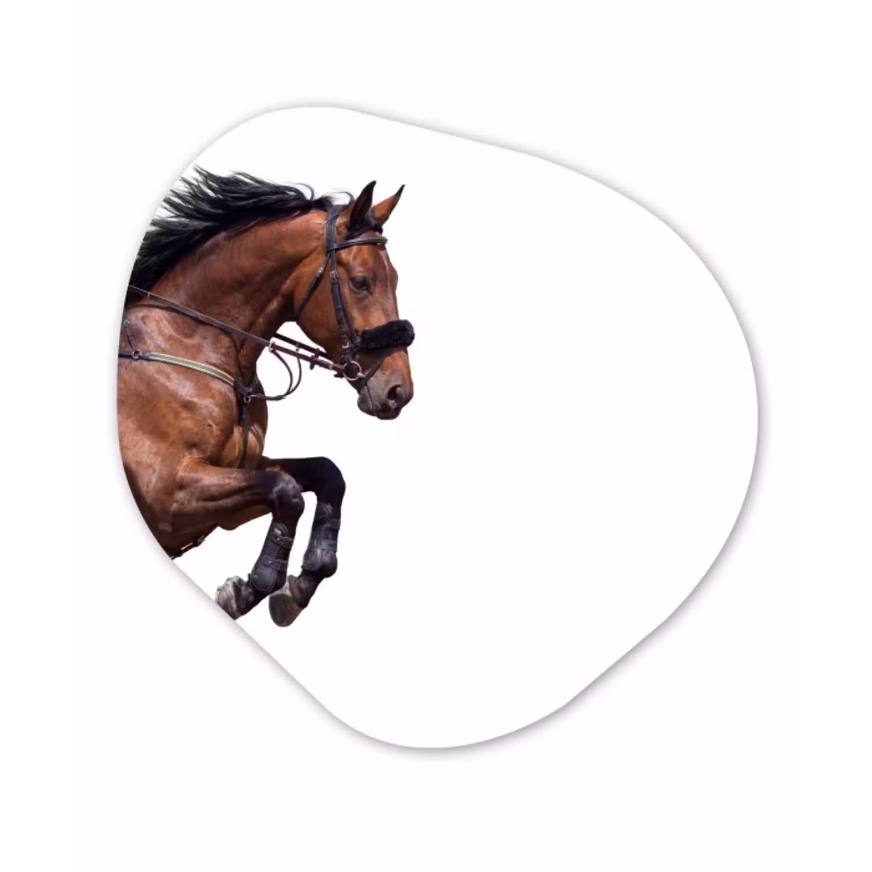 Paard - Springen - Modern Wandcirkel Organisch Aluminium middel -3d
