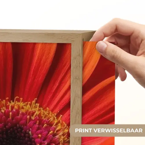 Oranje - Gerbera - Intens Light Box met batterij (Wandlamp) middel -USP_websiteprintNL