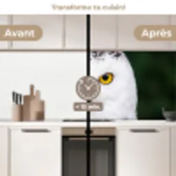 Sneeuwuil - Portret - Geel keuken achterwand 2 middel -voor-na2_FR