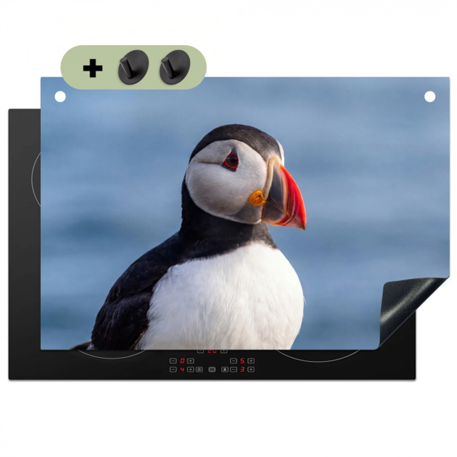 Papegaaiduiker - Portret - Natuur Inductie beschemer met haakjes klein -3d