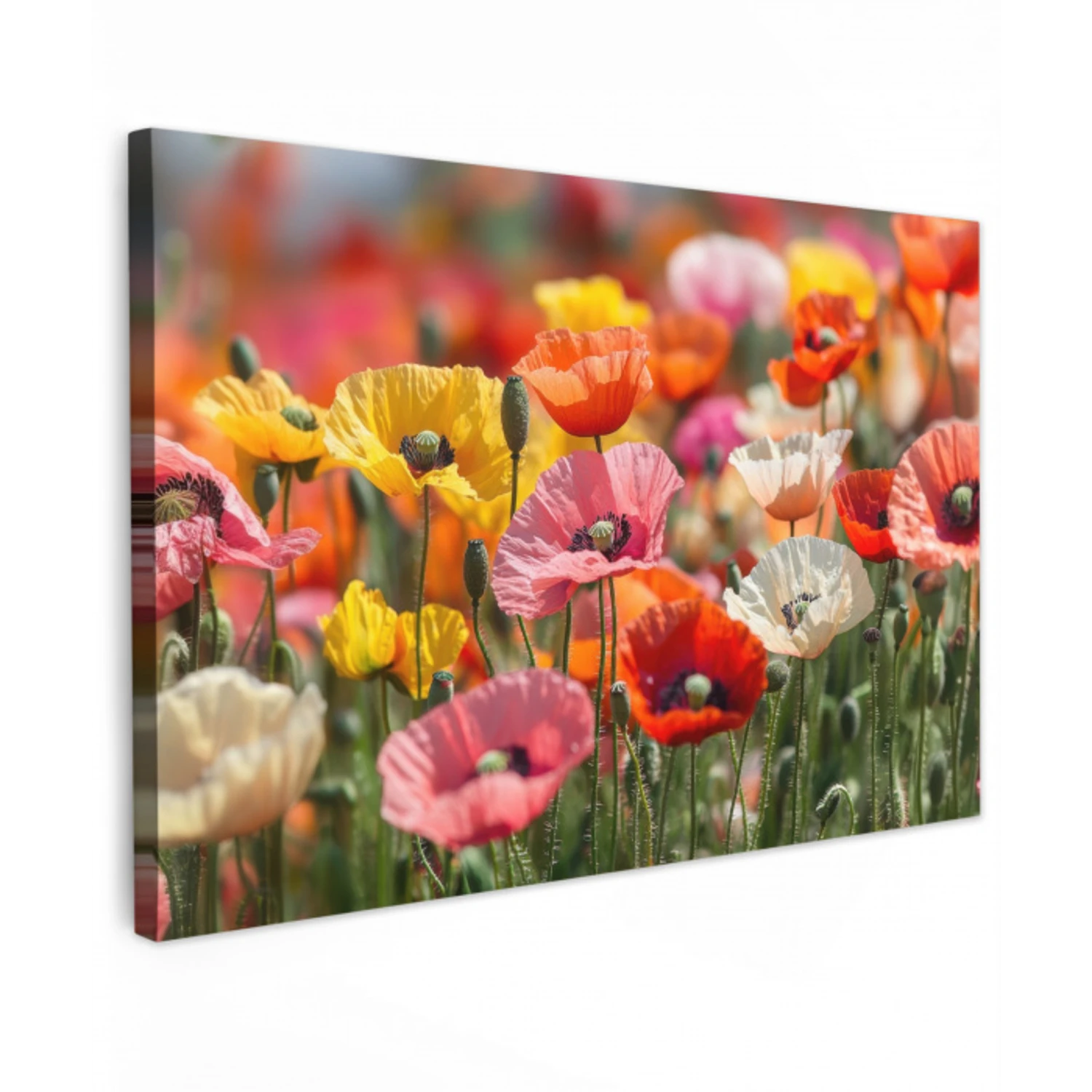 Bloemenveld - Klaprozen - Kleurrijk canvas 2cm klein -z3d