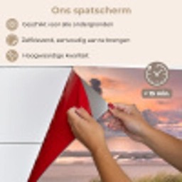 Zonsondergang - Duin - Strand - Planten - Zee keuken achterwand spatscherm klein -spatscherm_NL