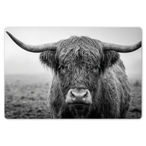 Schotse hooglander - Zwart - Wit - Gras Placemat vinyl groot -zzsfeer1_Kitchenyeah-website