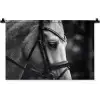 Paard - Schimmel - Portret Wandkleed katoen klein -zz3d