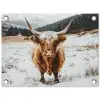 Schotse Hooglander - Sneeuw - Winter - Dieren tuinposter los doek klein -3d