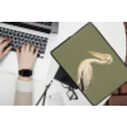 Pelikaan - Wit - Vogel - Klassiek - Natuur laptophoes neopreen klein -bureau