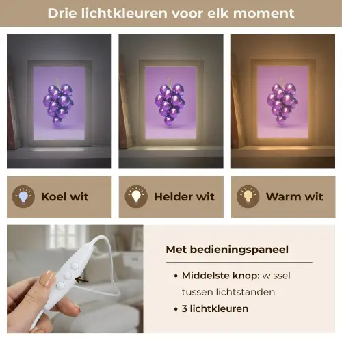 Druif - Disco - Glitter - Paars Light Box met kabel (Tafellamp) klein -USP_lichtkleurNL