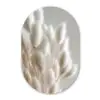 Pluimen - Beige - Minimalistisch Wandcirkel Ovaal Forex klein -3d