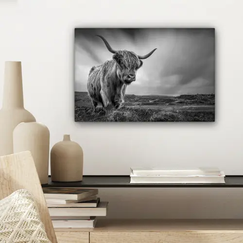 Koeien - Schotse hooglander - Natuur - Dieren - Zwart wit canvas 2cm klein -sfeer6