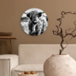 Schotse hooglander - Natuur - Koe - Zwart - Wit Wandcirkel kunststof plaat 5mm dik klein -sfeer1