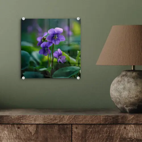 Viooltjes - Paars - Bloem - Bladeren plexiglas 5mm klein -sfeer3