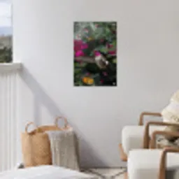 Kolibrie - Vogel - Roze tuinposter los doek klein -sfeer8
