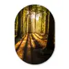 Zon - Bomen - Bos - Landschap - Natuur Wandcirkel Ovaal Forex klein -3d