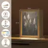 Siergras - Pluimen - Verlichting - Zwart Light Box met kabel (Tafellamp) klein -USP_NL