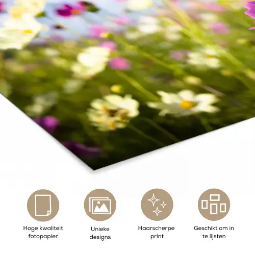 Bloemen - Wei - Paars - Gras - Wit - Wolken - Blauw poster papier klein -closeup_NL