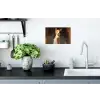 Kat - Geschilderd - Artistiek - Wit Muursticker klein -keuken
