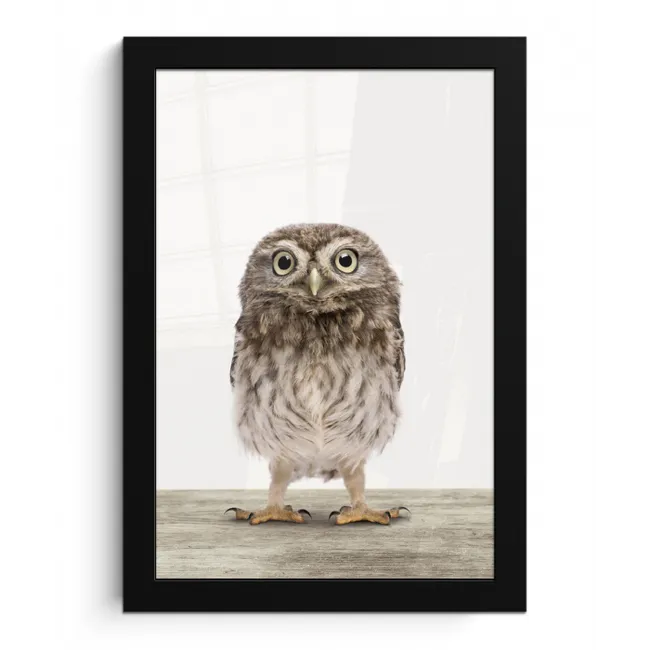 Uil - Bruin - Uilskuikentjes - Kinderen - Jongens - Meisjes fotolijst zwart zonder passe partout klein -3d