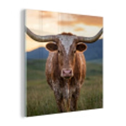 Longhorn - Landschap - Zonsondergang plexiglas 5mm klein -z3d