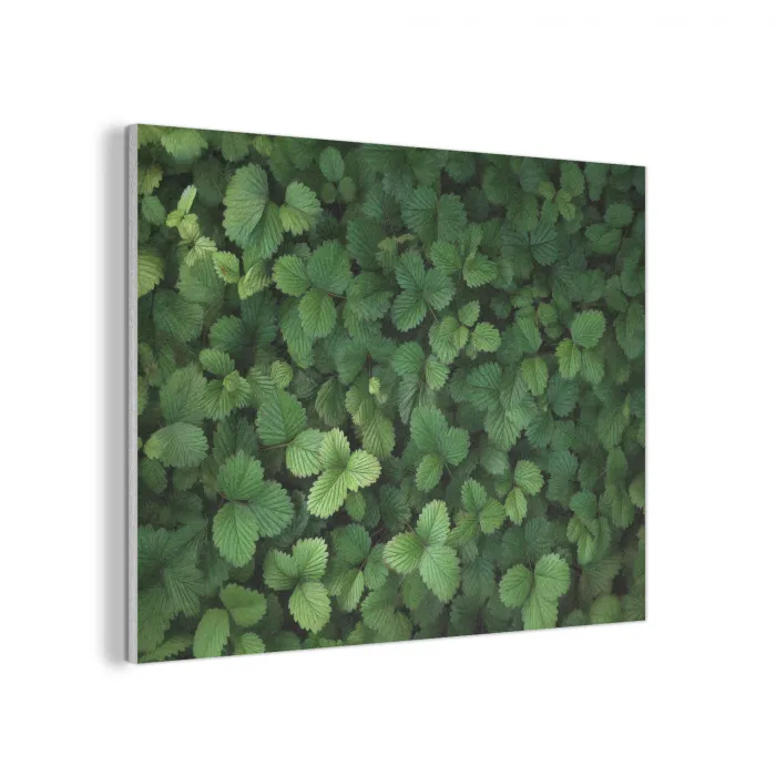 Groen - Bladeren - Kartel - Zonlicht PET vilt klein -3d