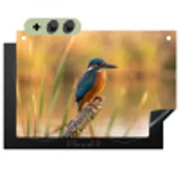 IJsvogel - Tak - Water - Kleurrijk - Levendig Inductie beschemer met haakjes klein -3d