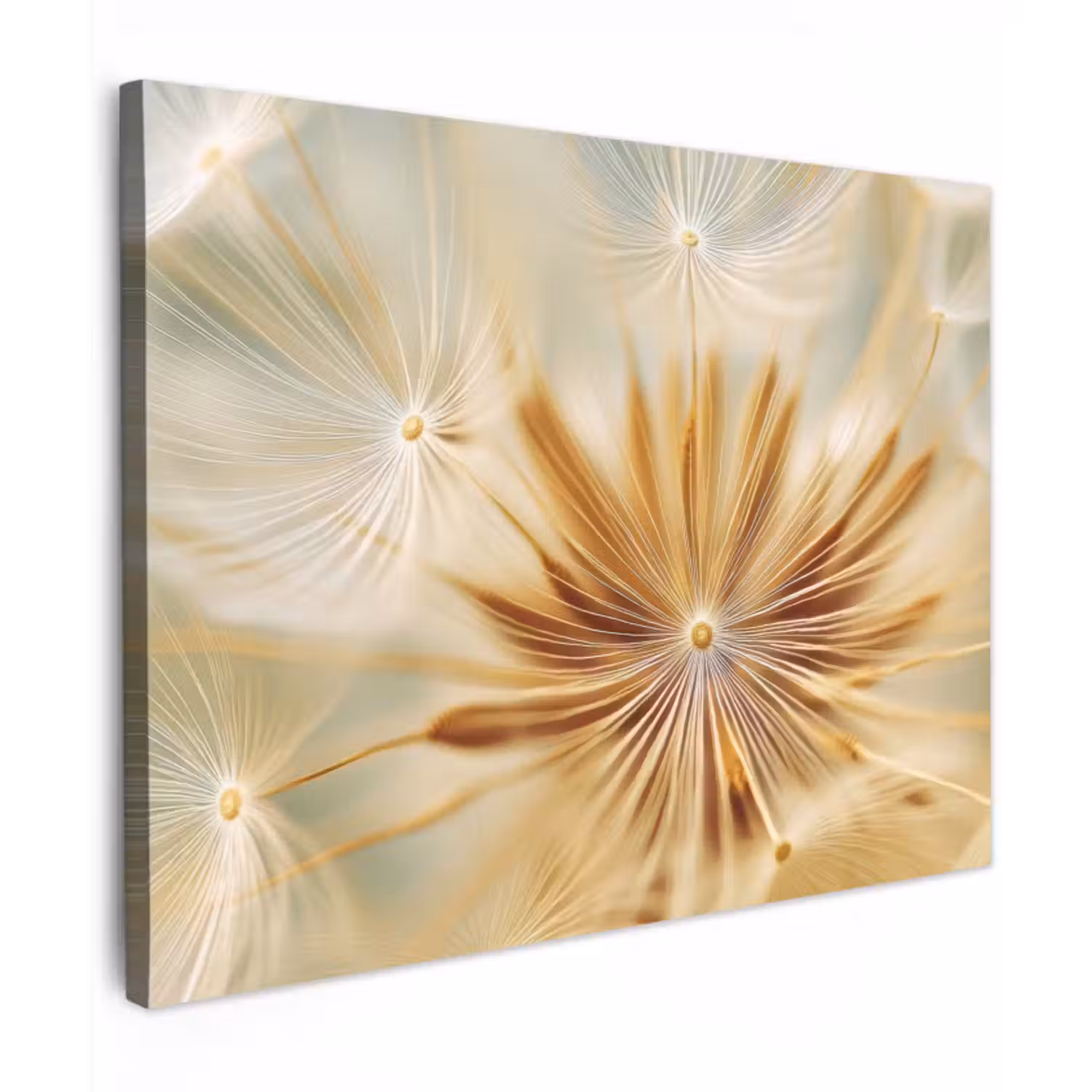 Canvas schilderij - Paardenbloem - Beige - Abstract - Modern - Natuur