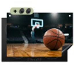 Basketbal - Arena - Sport Inductie beschemer met haakjes klein -3d