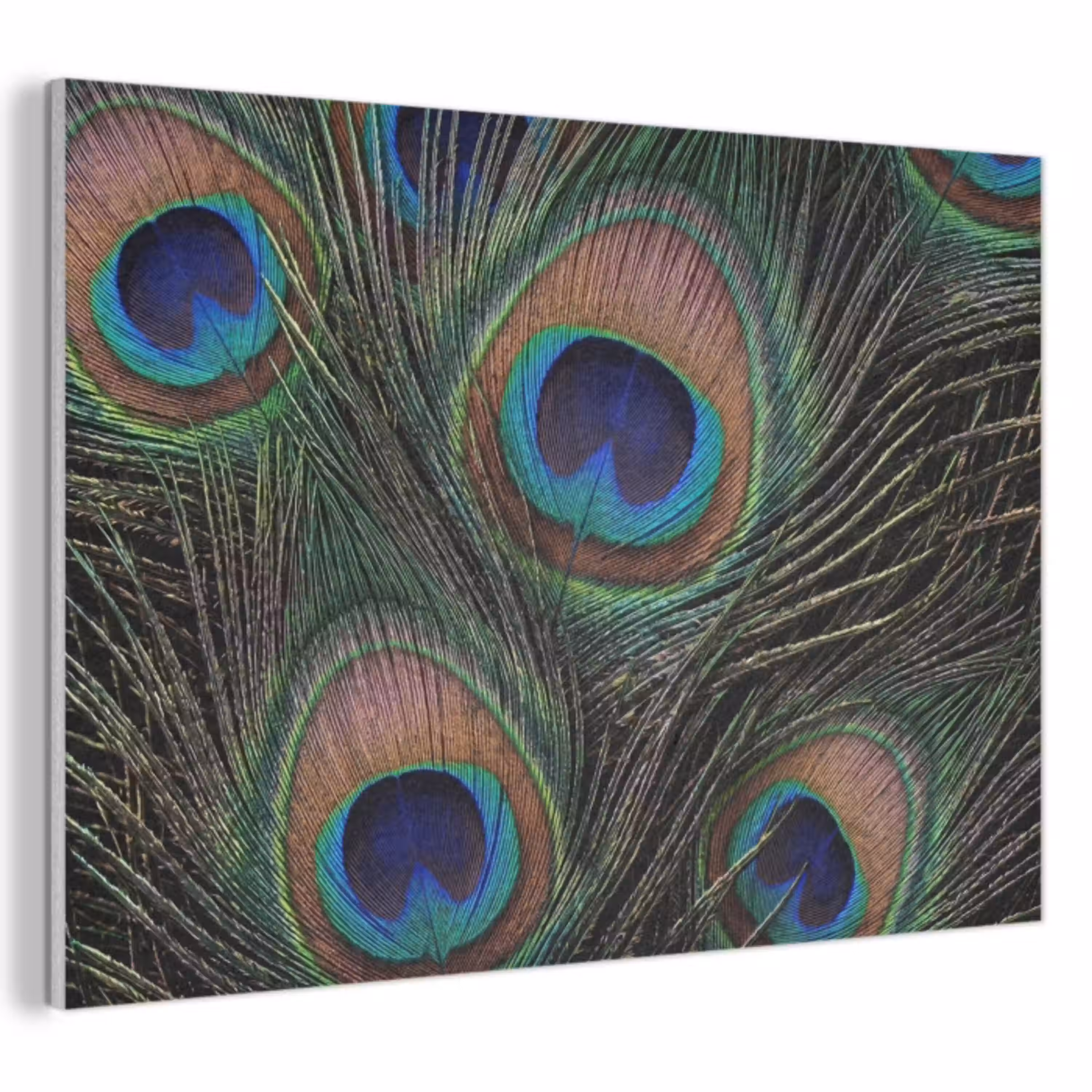 Pauwenveren - Klassiek - Groen PET vilt klein -3d