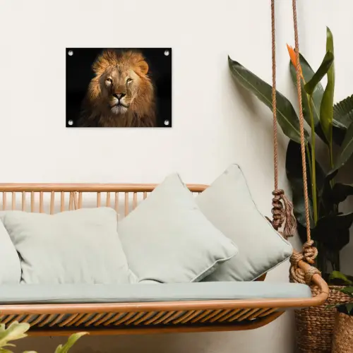 Leeuw in het avondlicht tuinposter los doek klein -sfeer7