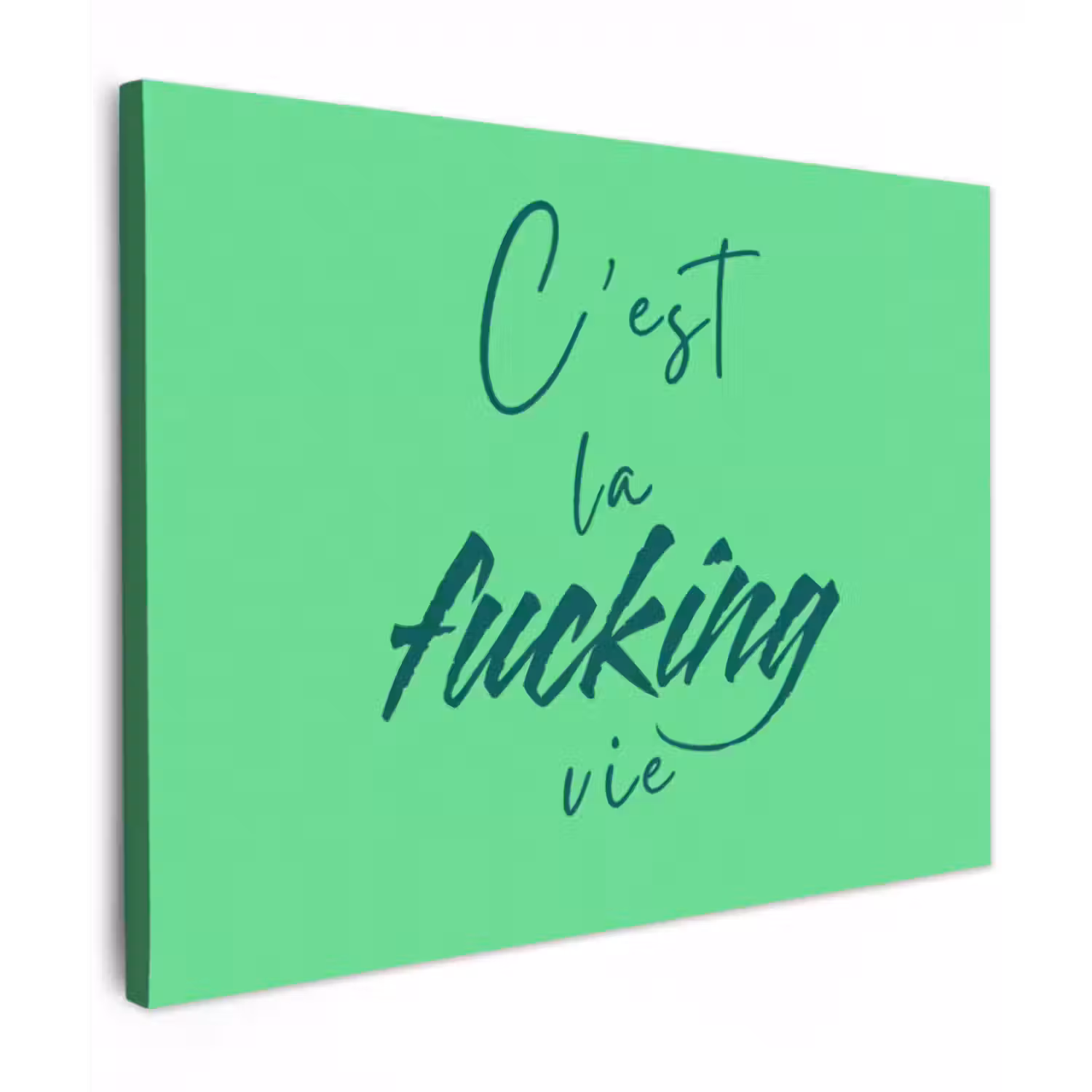 Canvas schilderij - c'est la fucking vie - Groen - Penseelstijl