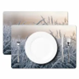 Rijp - Gras - Kristallen - Winter - Minimalistisch Placemat vinyl groot -zzsfeer2_Kitchenyeah-website