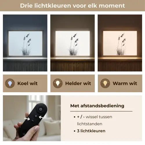 Minimalistisch - Stelen - Wit Light Box met batterij (Wandlamp) middel -USP_lichtkleurNL