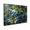 Blauwe bessen - Dauwdruppels - Natuurlijk licht canvas 2cm klein -z3d