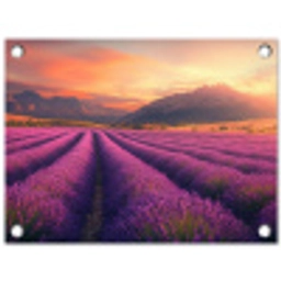 Lavendelveld - Zonsondergang - Paars tuinposter los doek klein -3d