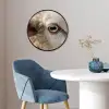 Schaap - Oog - Wit Fotolijst rond zonder passe partout klein -sfeer2