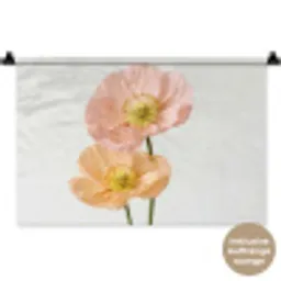 Papavers - Botanisch - Roze Wandkleed katoen klein -t3d_DE