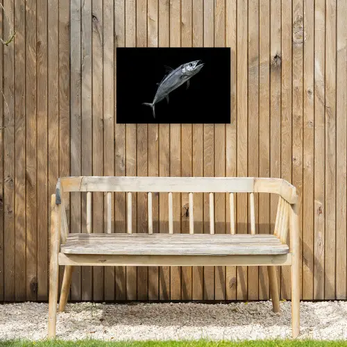 Makreel - Vis - Zwart Tuinposter op houten frame 2 cm dik klein -sfeer4