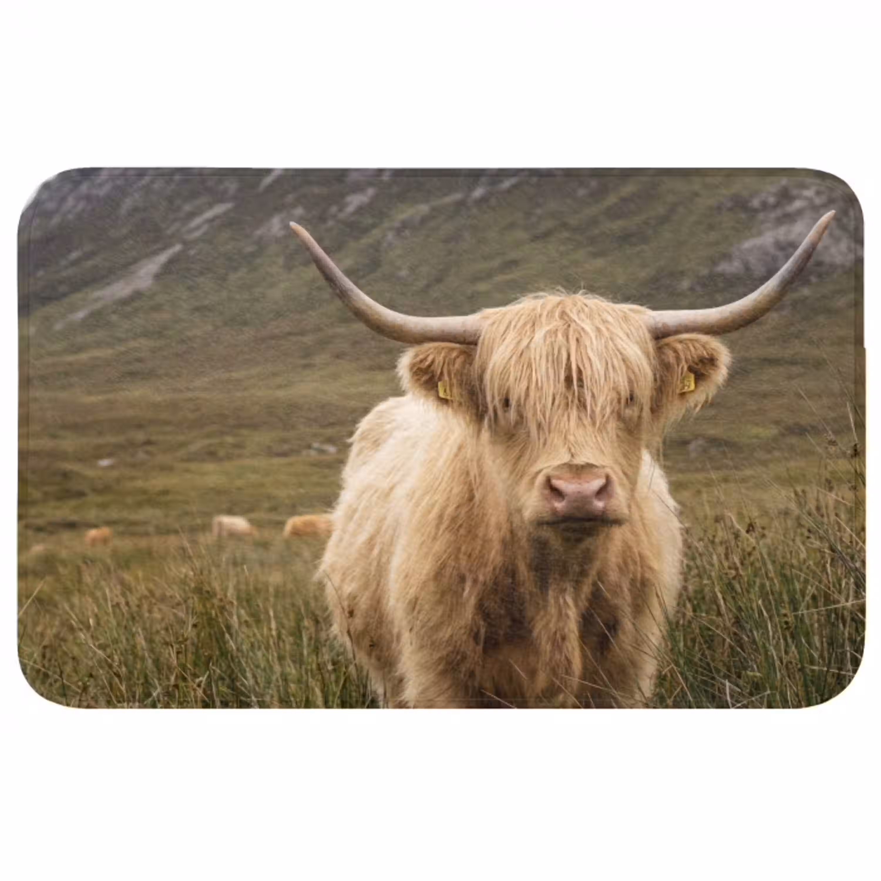 Schotse hooglander - Bergen - Grasveld Badmat middel -3d