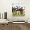 Koeien - Weiland - Dieren - Natuur - Gras plexiglas 5mm klein -sfeer1