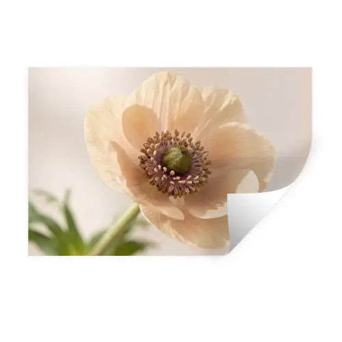 Bloem - Minimalistisch - Groen Muursticker klein -3d