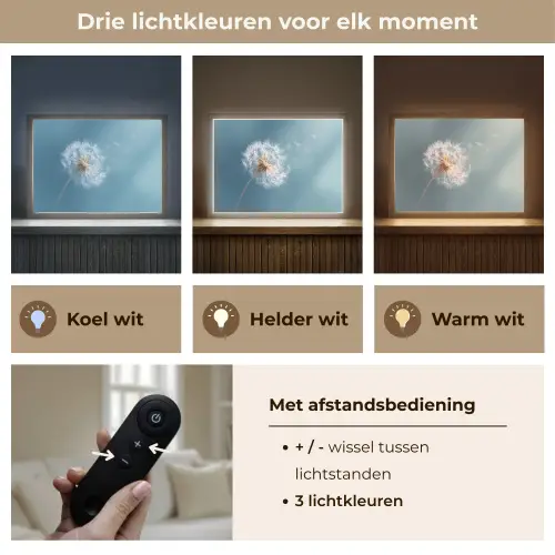 Paardenbloem - Wind - Blauw Light Box met batterij (Wandlamp) middel -USP_lichtkleurNL