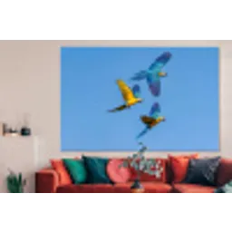 Papagaai - Vliegen - Blauw - Geel forex 5mm xxl -woonkamer