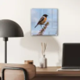 Roodborsttapuit - Heide - Paars - Natuur - Sfeervol plexiglas 5mm klein -sfeer6