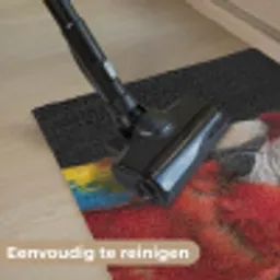Ara - Portret - Rood Deurmat klein -reinigen_NL
