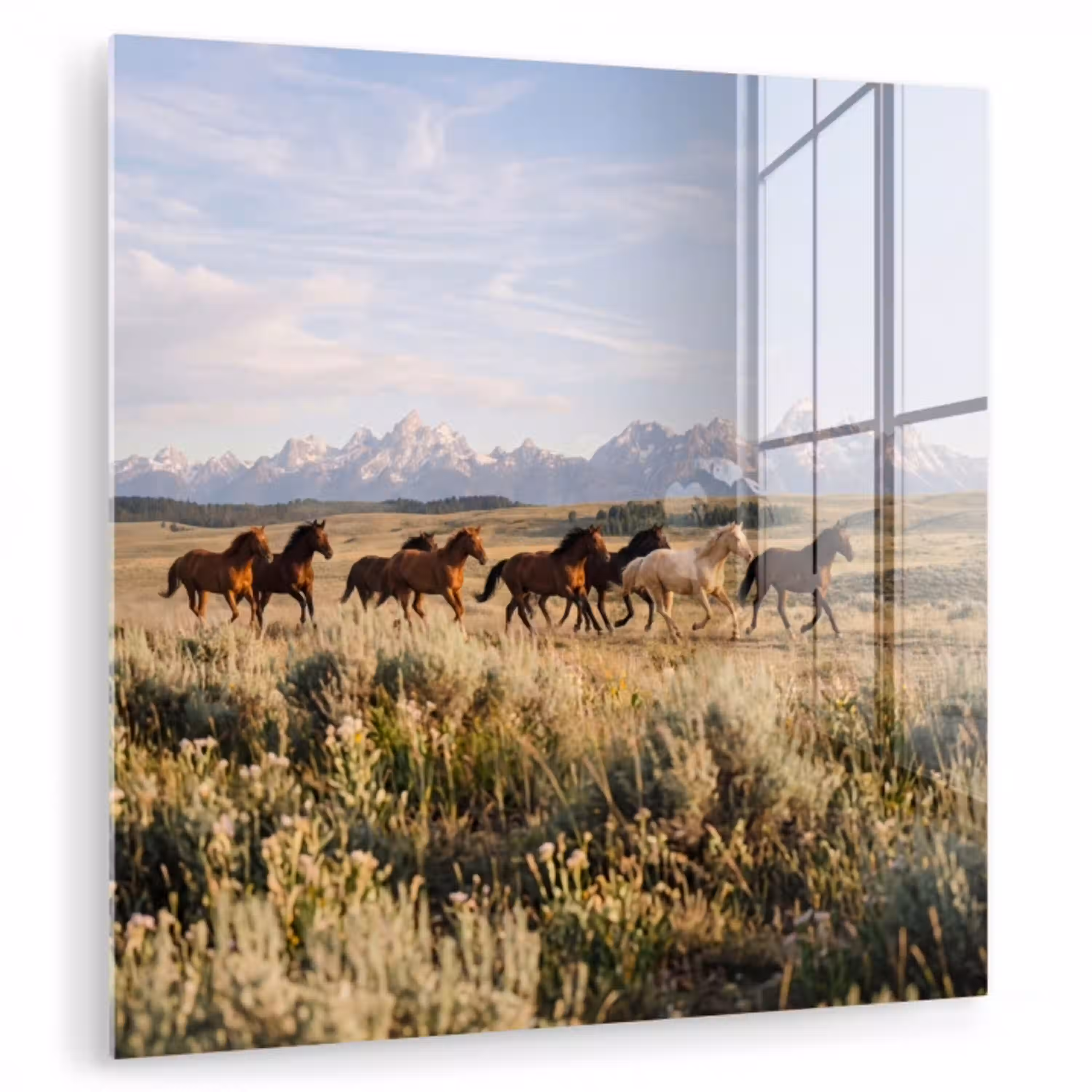Paarden - Kudde - Bergen - Vrijheid - Wild plexiglas 5mm klein -zzzproduct_nieuw
