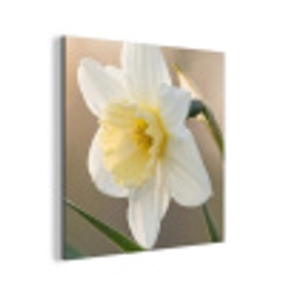 Narcis - Bloem - Minimalistisch aluminium wit klein -3d