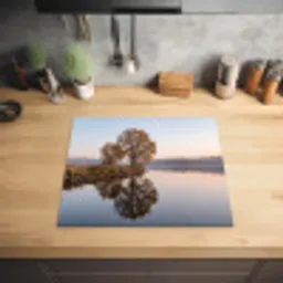 Bomen - Reflectie - Water - Zonsopgang - Serene Inductie beschermer vinyl 3mm middel -sfeer5