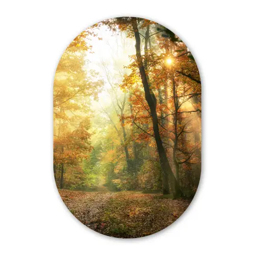 Bos - Herfst - Zon - Landschap - Natuur - Bomen - Bladeren Wandcirkel Ovaal Forex klein -3d