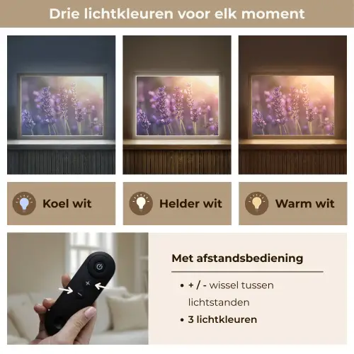 Lavendelbloemen - Paars - Zonlicht Light Box met batterij (Wandlamp) middel -USP_lichtkleurNL
